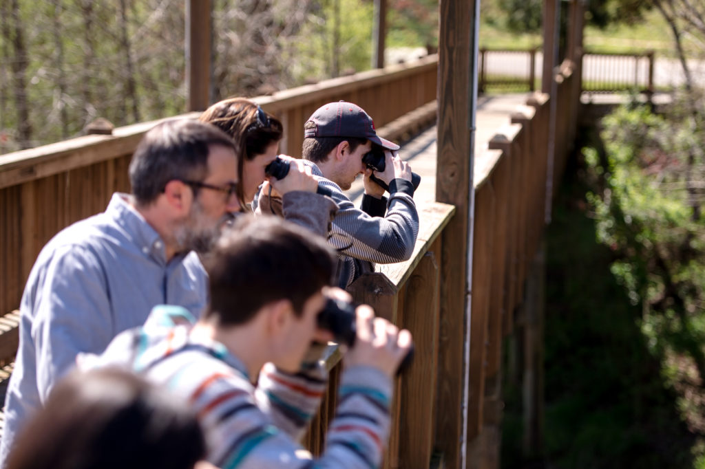 Environmental science student with binoculars on bridge over wetlands