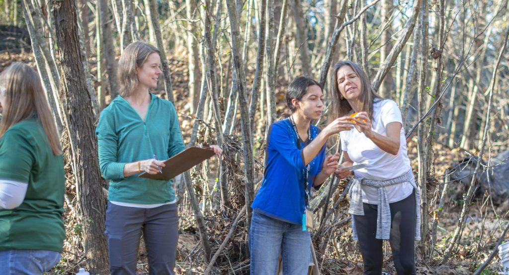 biology students at wetlands Demorest Campus