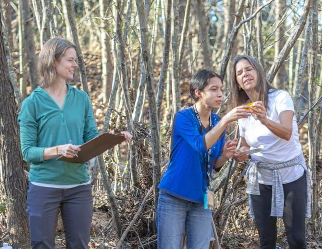 biology students at wetlands Demorest Campus