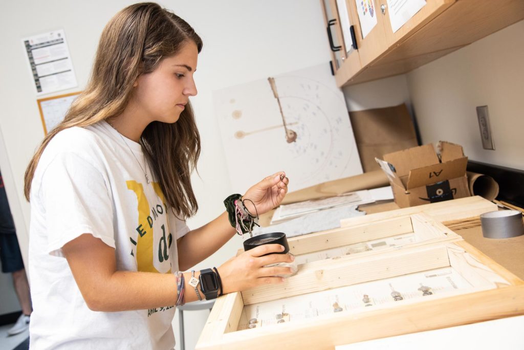 student reviewing ballistics for criminal justice degree