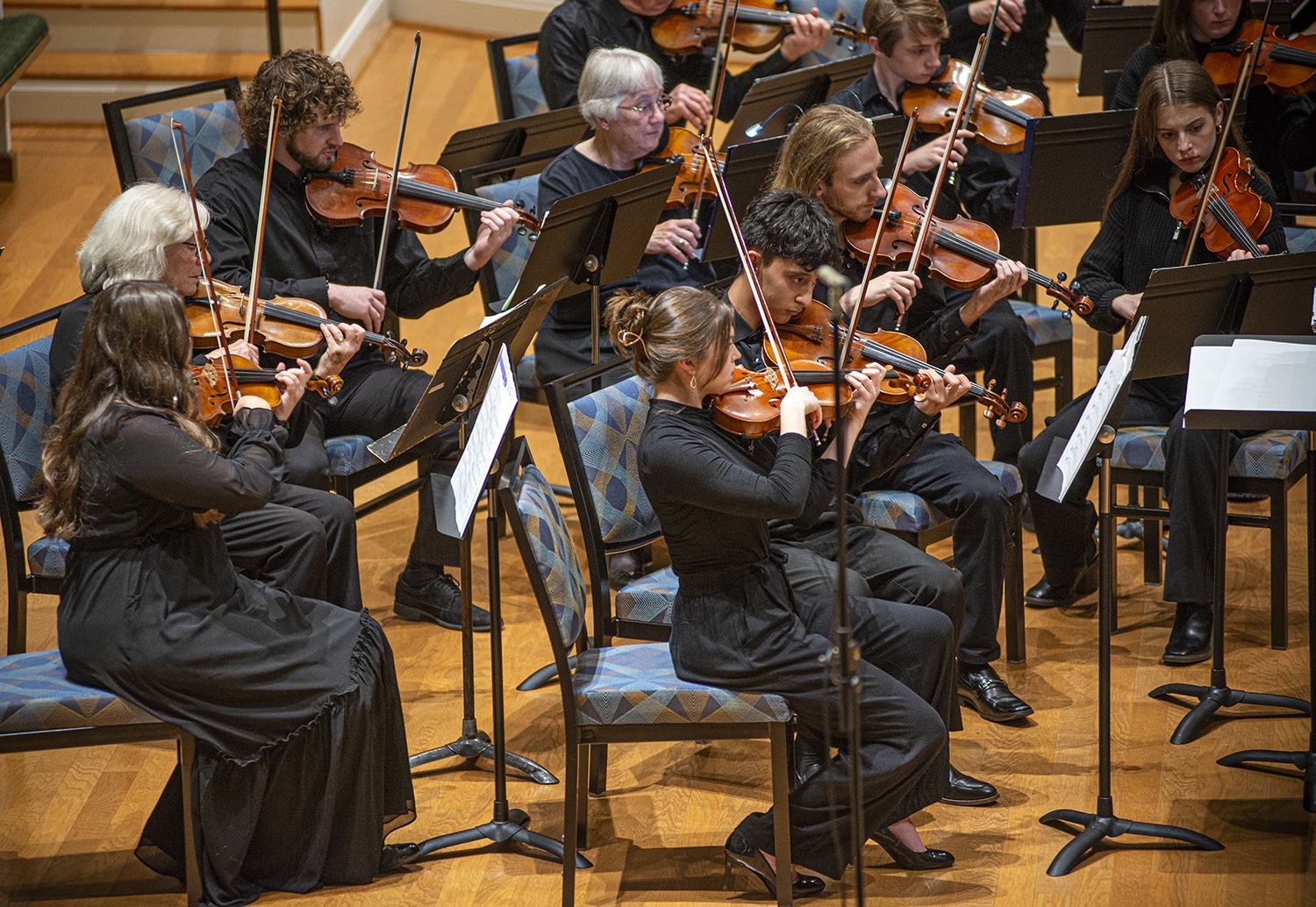 Group of students and faculty playing string instruments