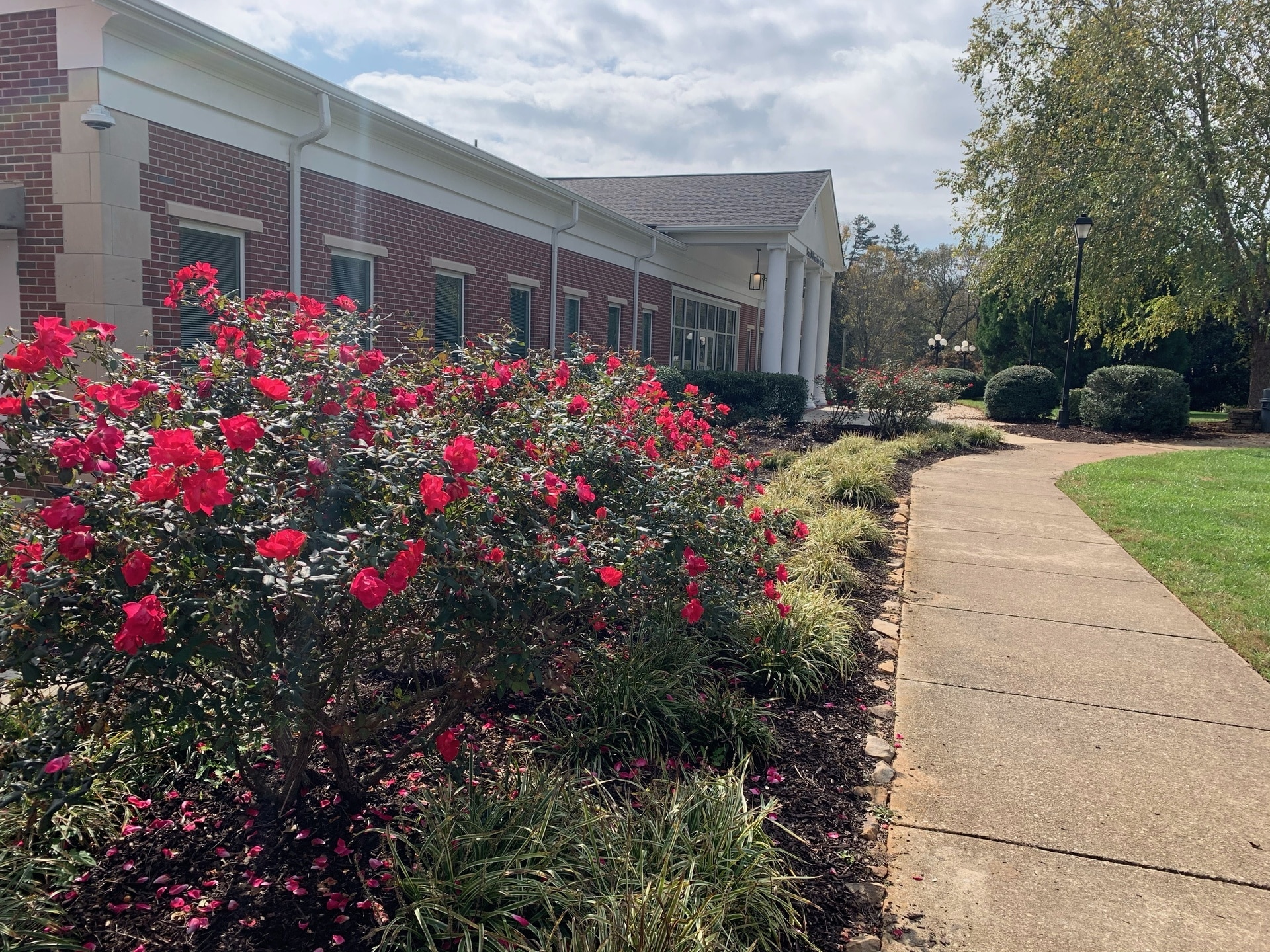 Sewell Center - Demorest