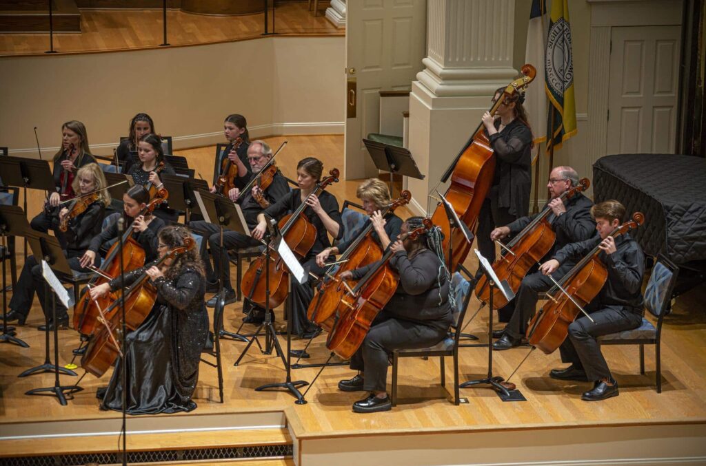A group of musicians with various string instruments, performing at a concert.