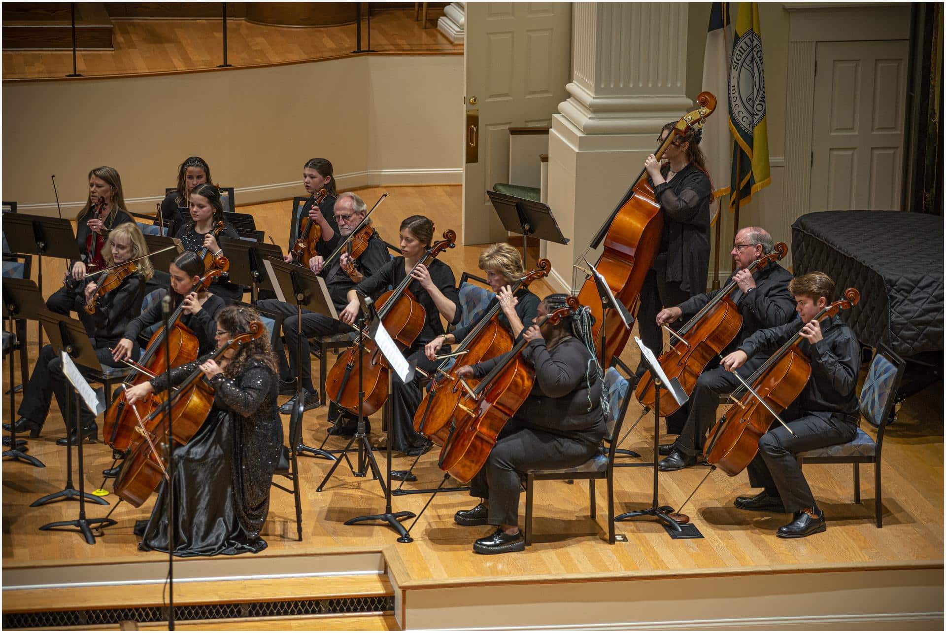 A group of musicians with various string instruments, performing at a concert.