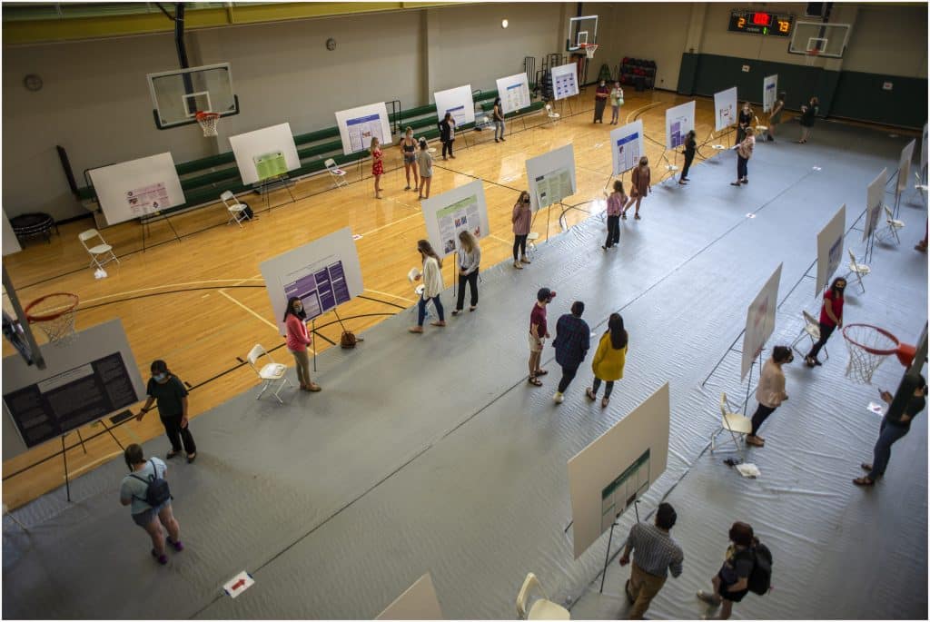 People stand by poster boards arranged in rows in a gymnasium, likely presenting or viewing research or projects. Some are talking in pairs or small groups, and basketball hoops are visible along the walls.