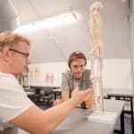 Two students look at an interactive skeleton model. One student points to a leg bone.