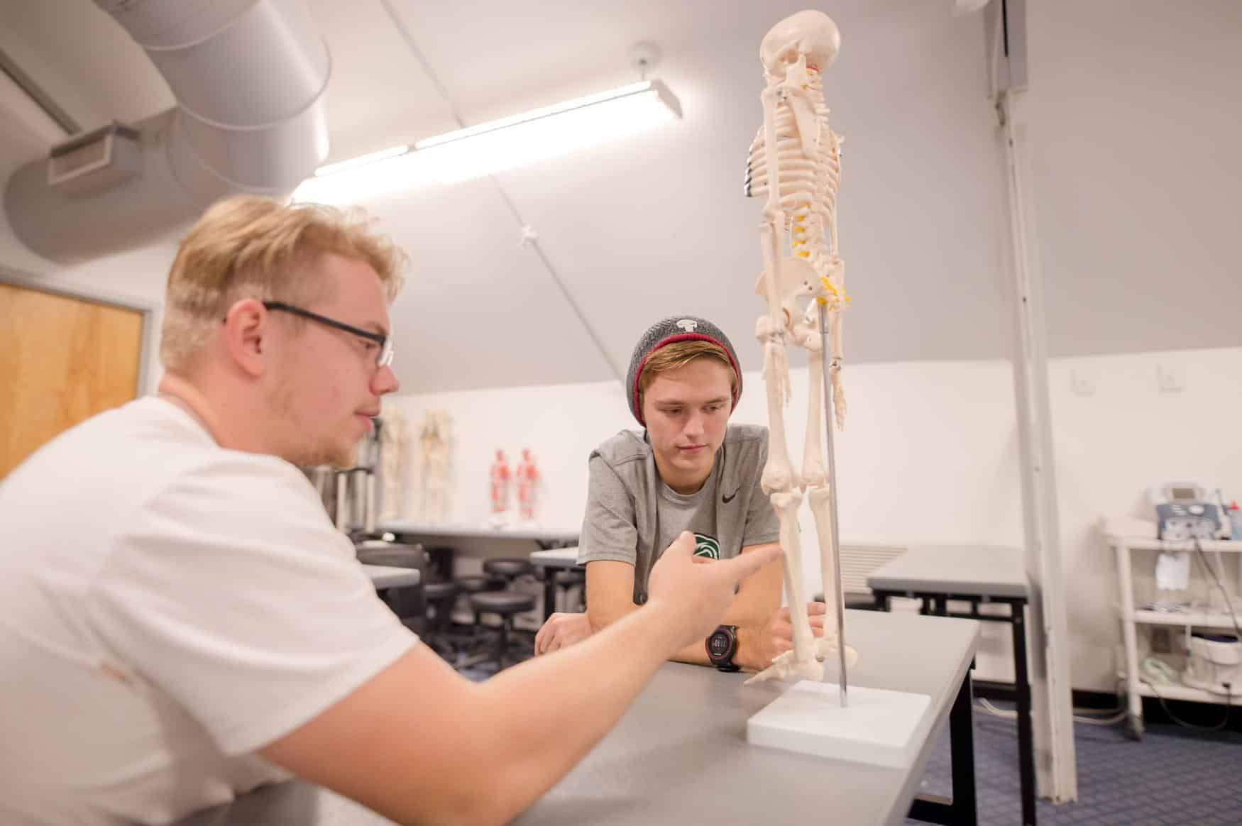 Two students look at an interactive skeleton model. One student points to a leg bone.