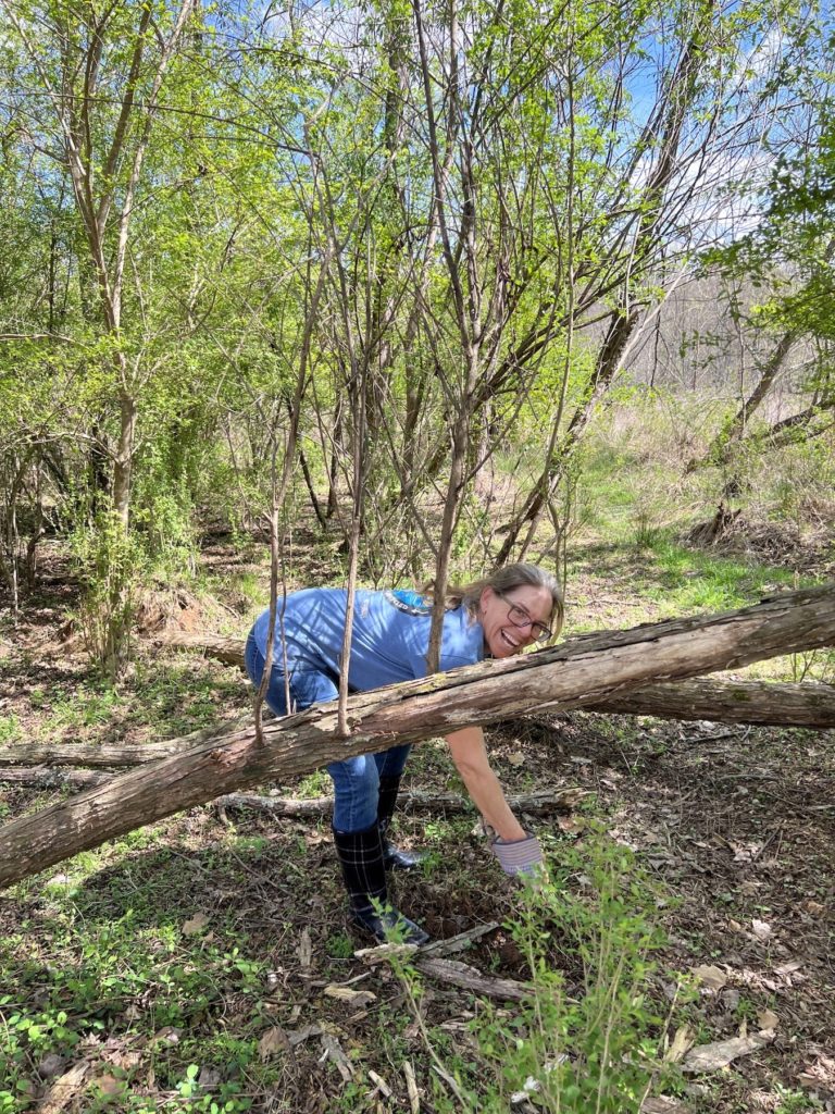 Dr. Debra Dooley helped out with Chinese Privet removal.