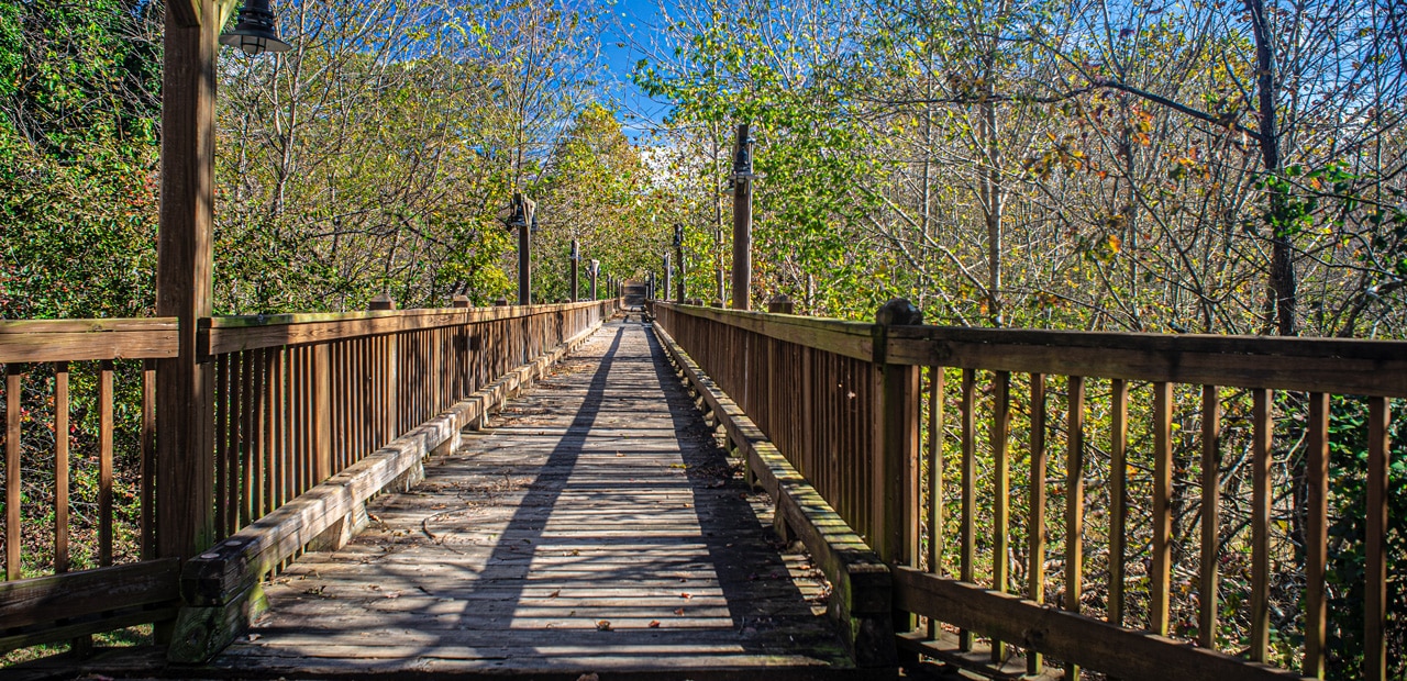 A long wooden bridge surrounded by green trees. Some of the leaves are turning yellow and orange.