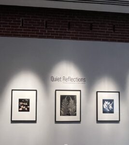 Photographs on the wall of the Mason-Scharfenstein Museum of Art